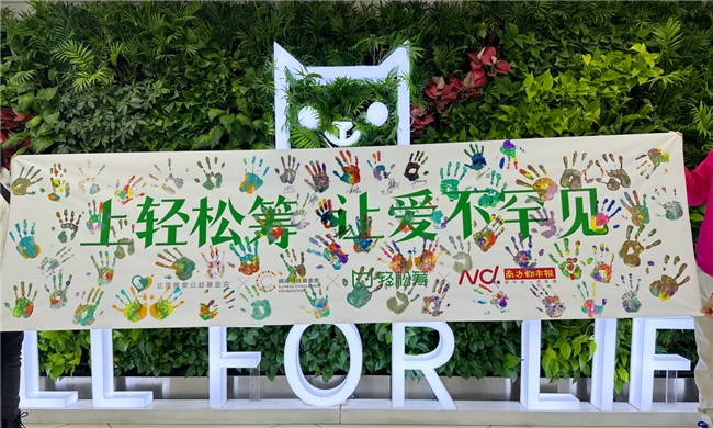 携手鲍春来,轻松筹助力罕见病日公益活动,让爱不再罕见