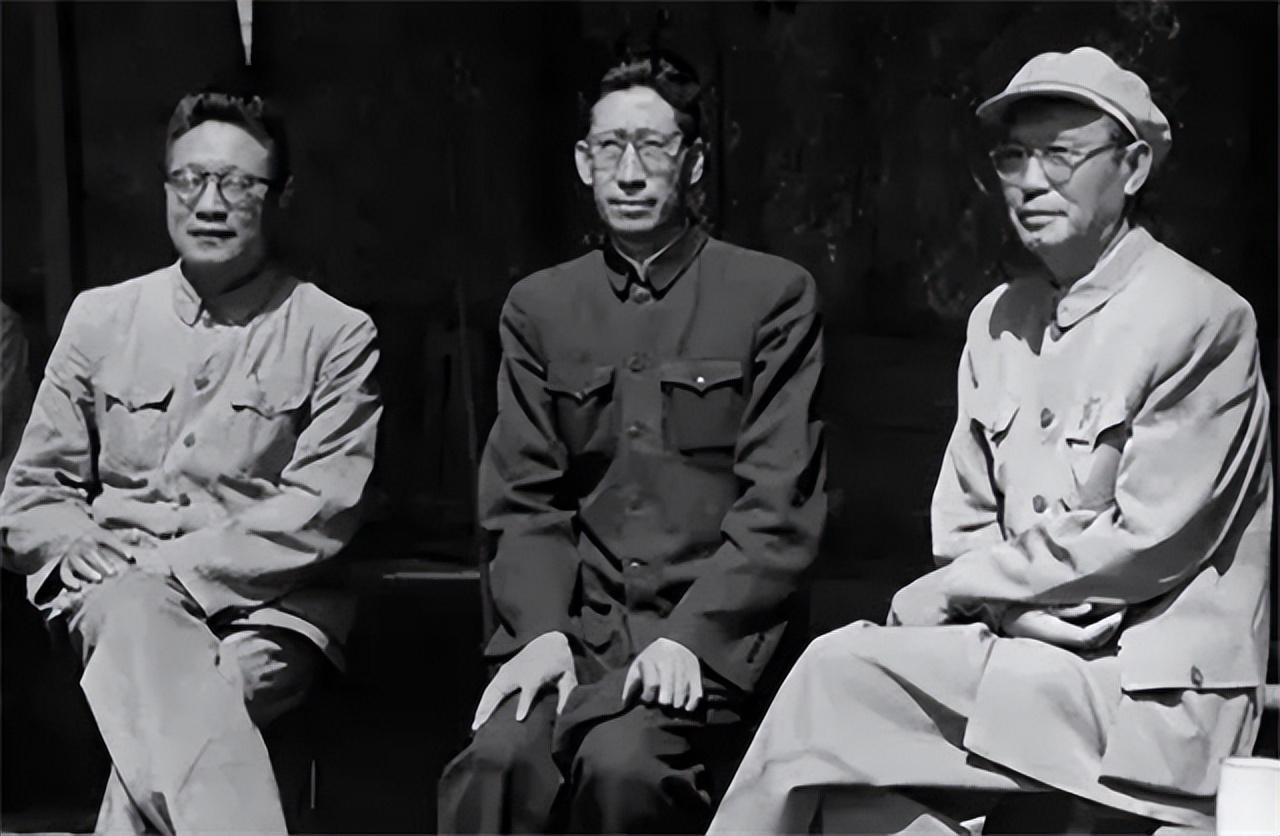 杨植霖对青海的贡献