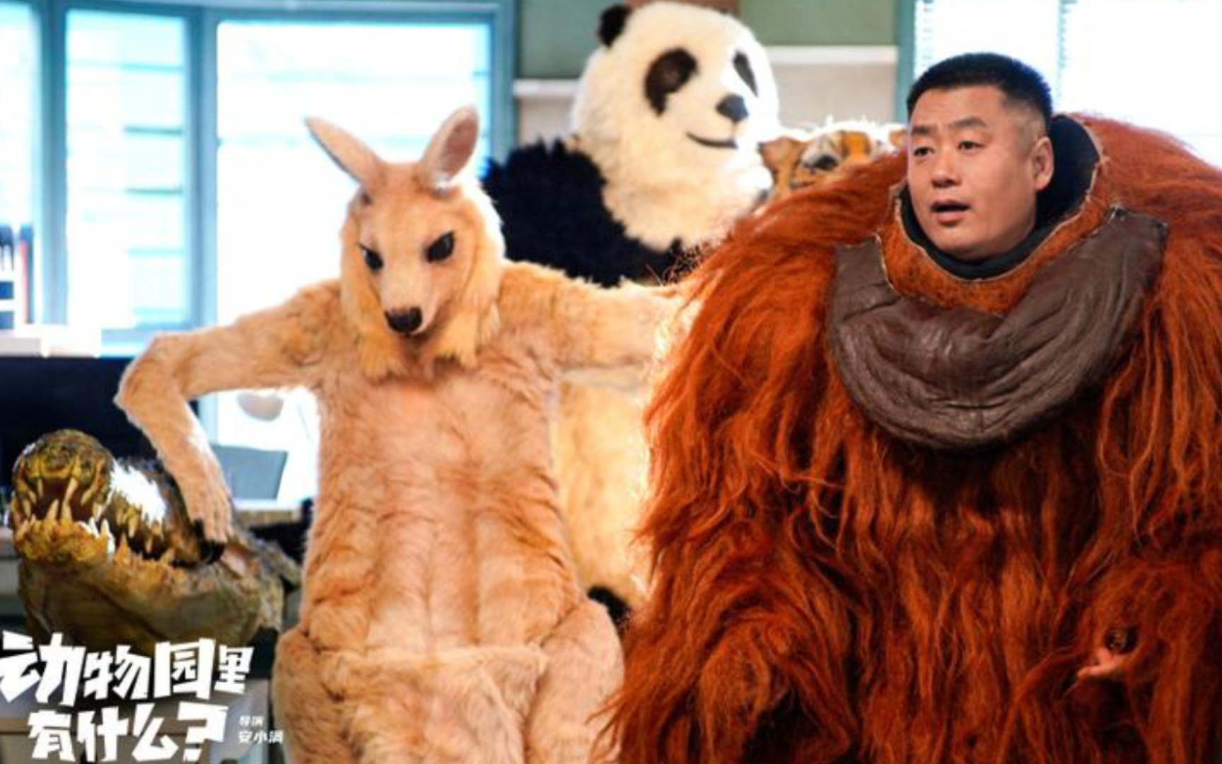 贾冰有关动物园的电影叫什么?