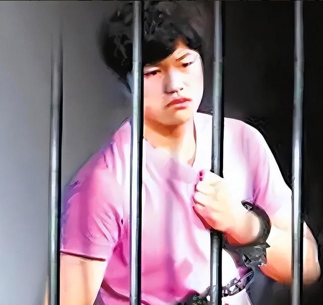 回顾:天生"坏种"!被判10年的李天一出狱后,不敢相信的一幕出现了