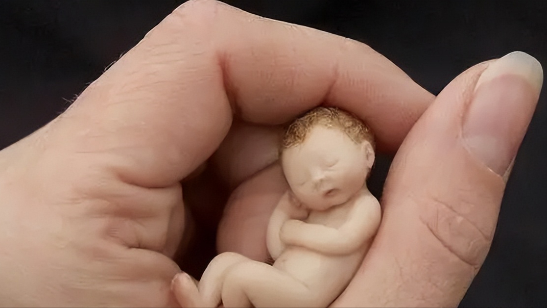 回顾:他从医院捡回被堕胎的婴尸,养了100多个孩子,后来成"传奇"