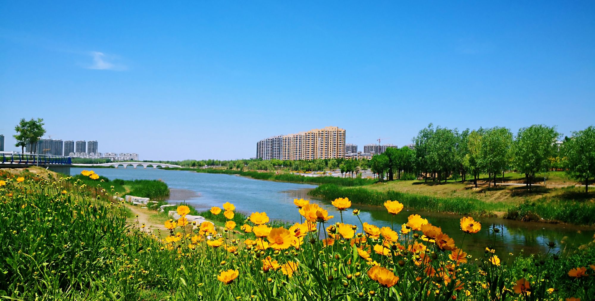 春回大地,菏泽周边有什么好玩的地方和景点推荐?这篇攻略告诉你