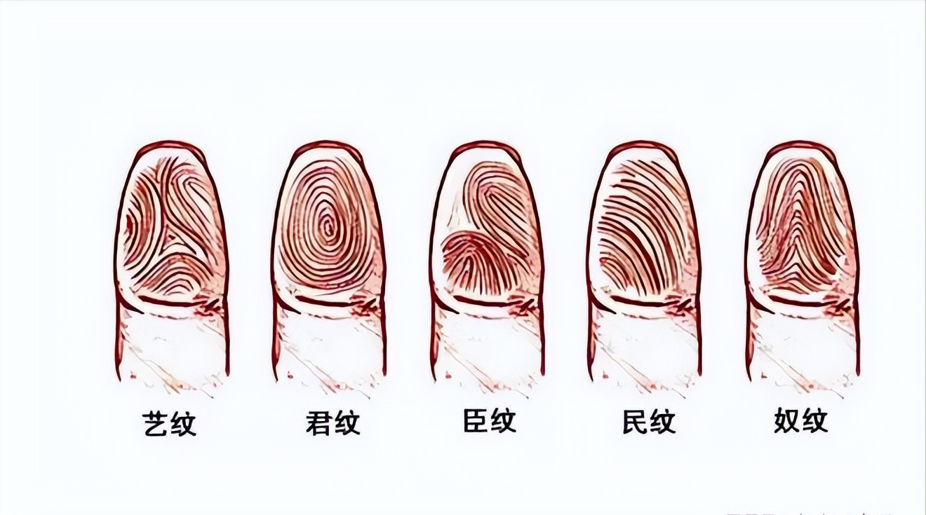 回顾俗语十指无斗一世富有老辈人却说斗越多越好谁对