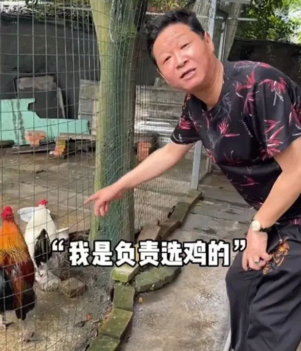 四川赵亮养鸡基地图片