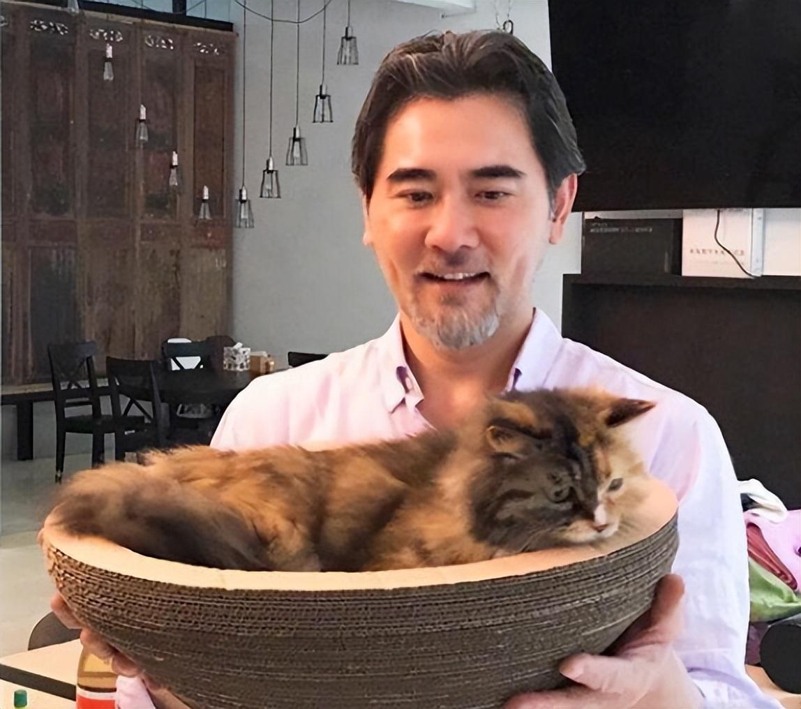 回顾赵文瑄出道零绯闻,独居乡下800平方米大别墅,62岁