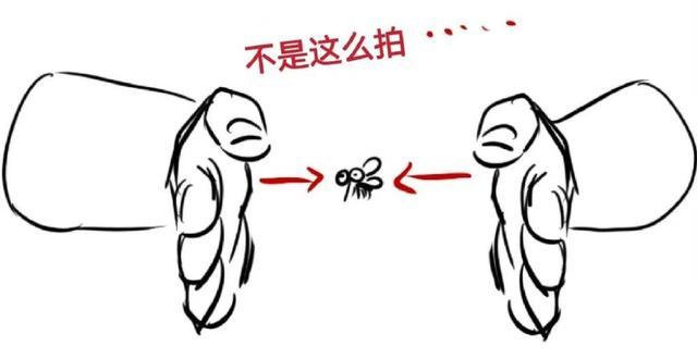 九成人不知蚊子最大天敌是啥教你用个笨招蚊子跑光光了