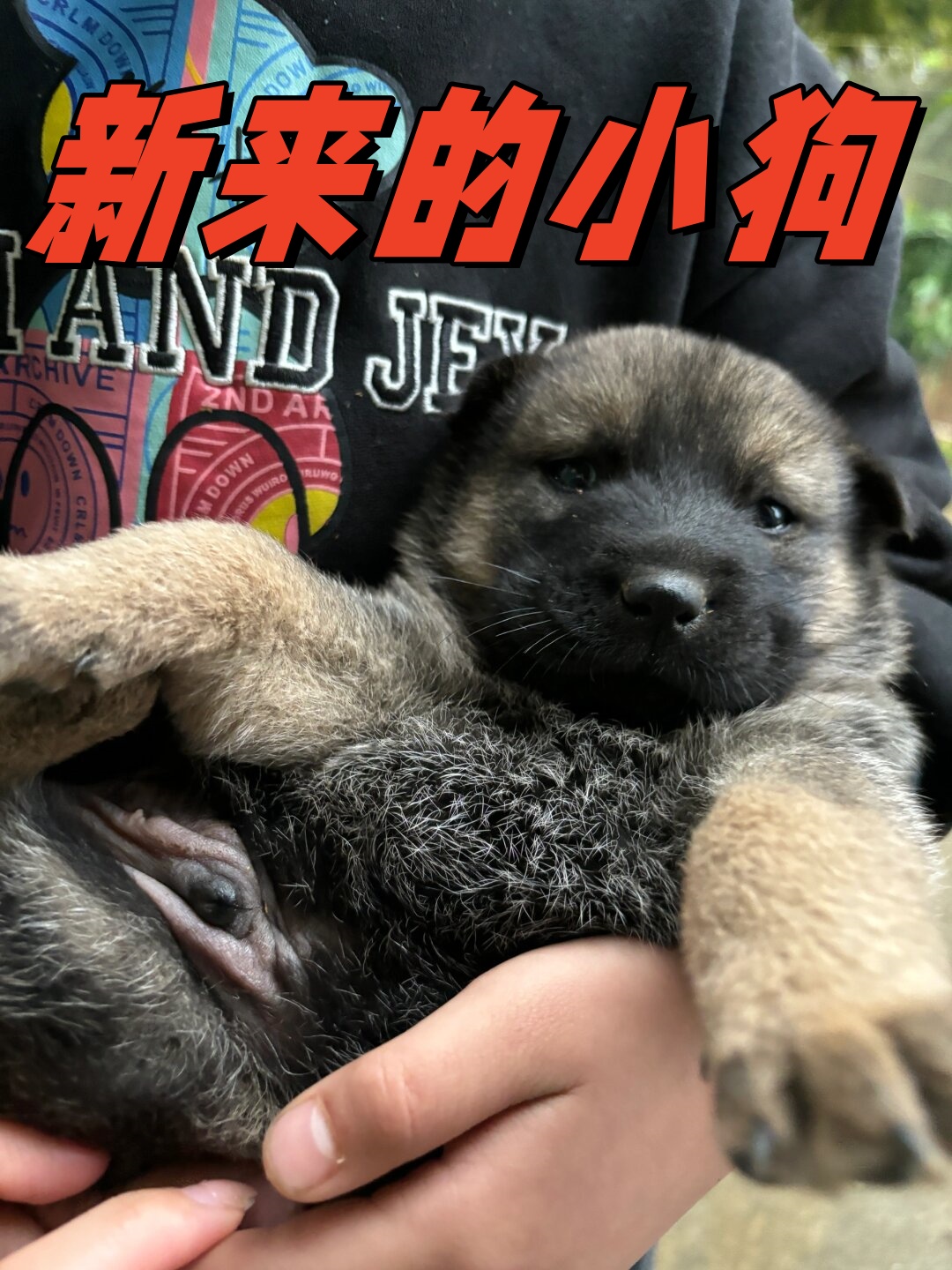 今天家里迎来了新的小伙伴