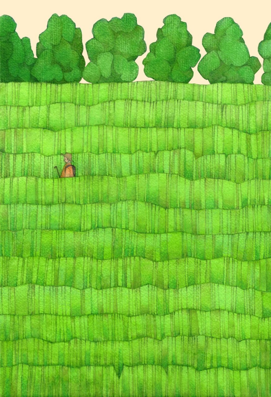 mizukami   erika mizukami 是来自日本的插画师91,她的作品风格