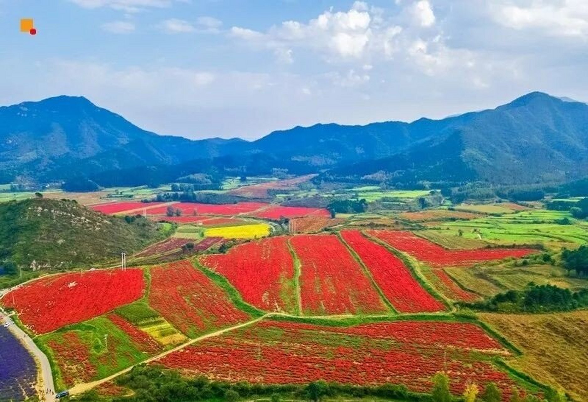 京郊一日游,延庆四季花海,摄影之旅  在都市的喧嚣中待久了,总是渴望