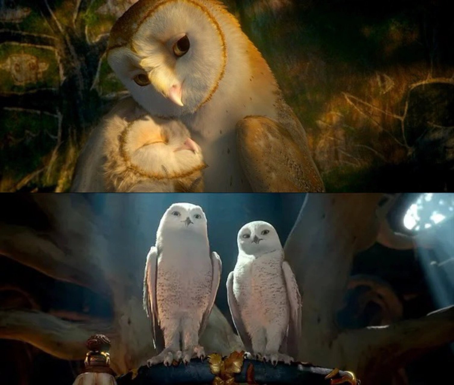 90电影名称:《猫头鹰王国:守卫者传奇》  这部电影讲述了一只年轻的