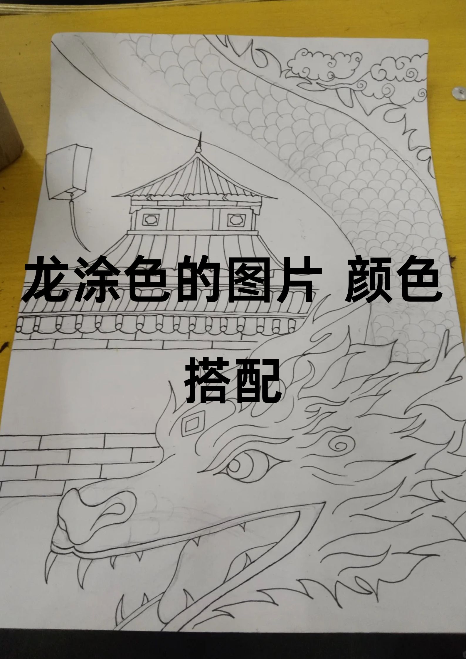 小伙伴们,你们是不是也在寻找一张充满神秘与威严的龙涂色图片呢?