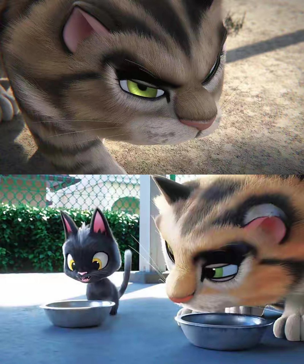 90电影名称:《黑猫鲁道夫》  97这部电影讲述了黑猫鲁道夫的冒险