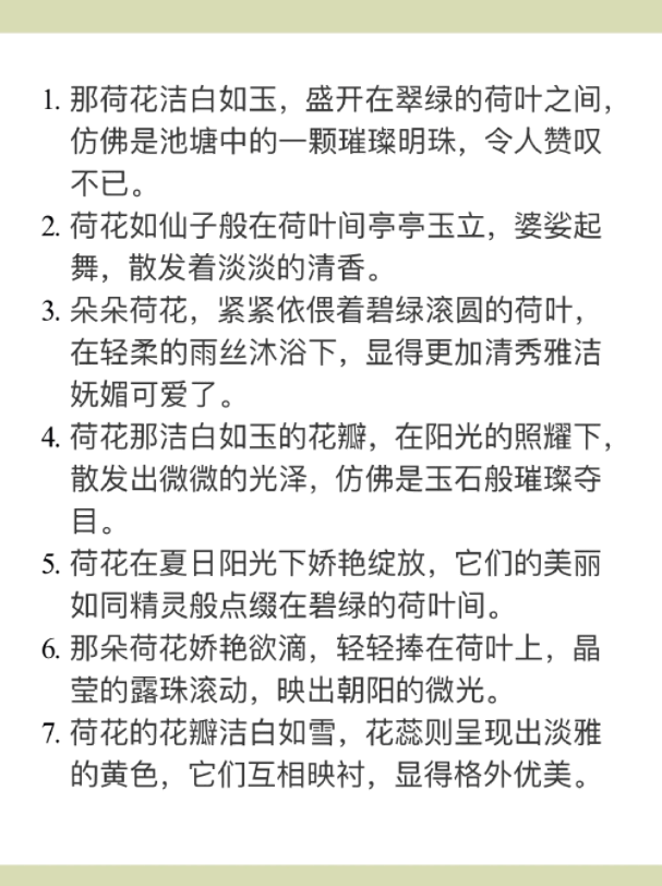 描写荷花的词语