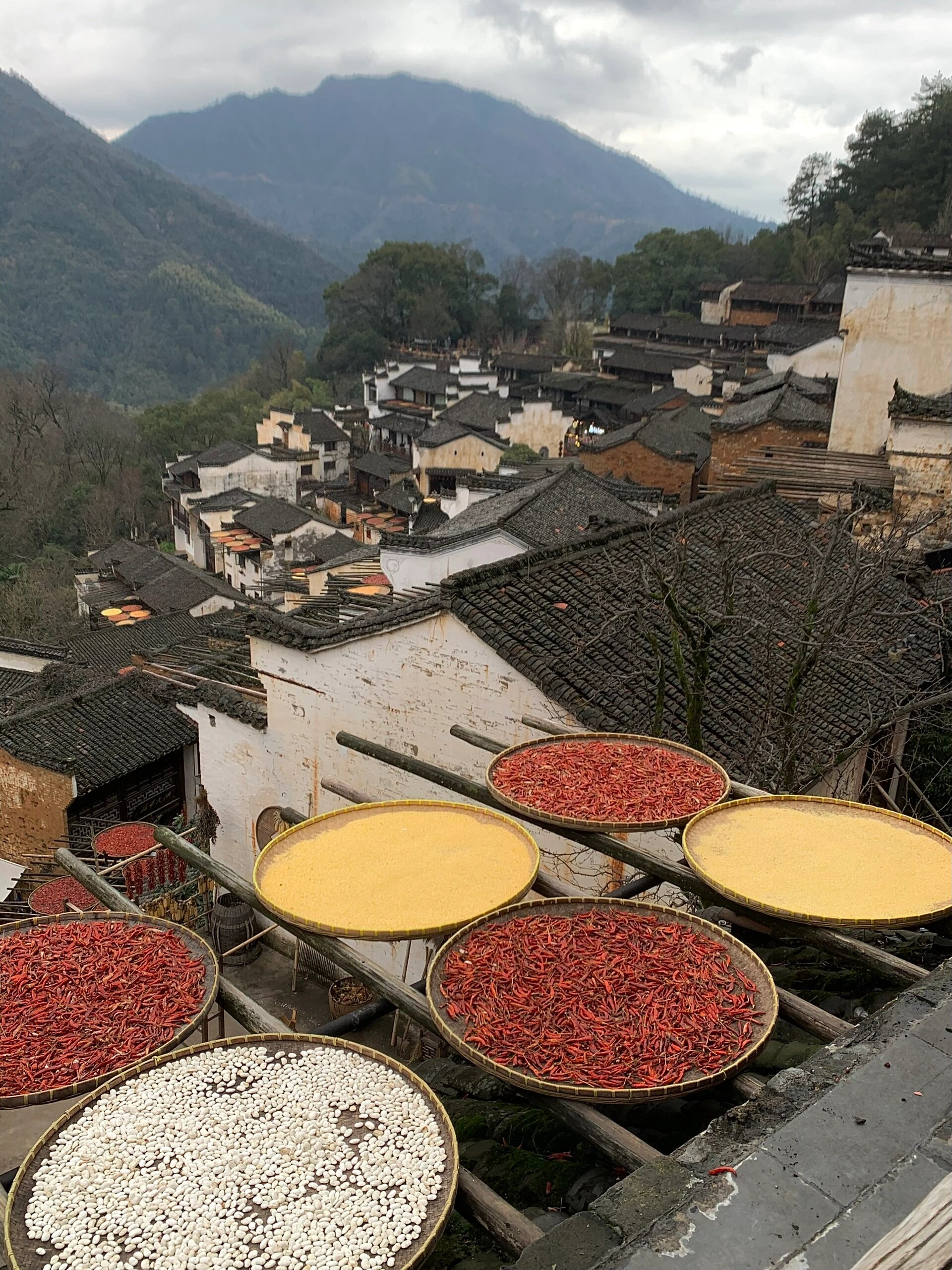 最近去了一趟婺源的篁岭景区,这里真的不愧是中国最美的