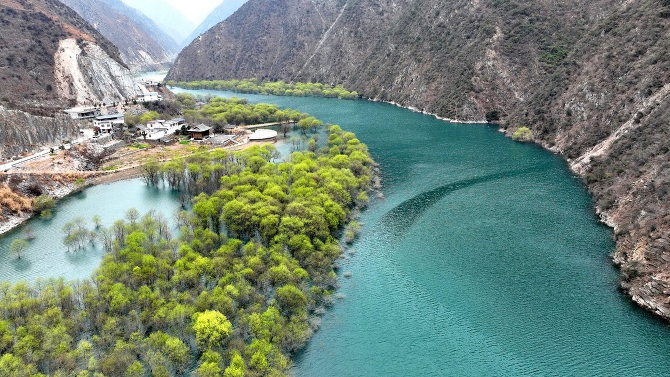 甘肃陇南文县境内,一条宛如银带的白龙江静静流淌,江畔的杨柳仿佛听到