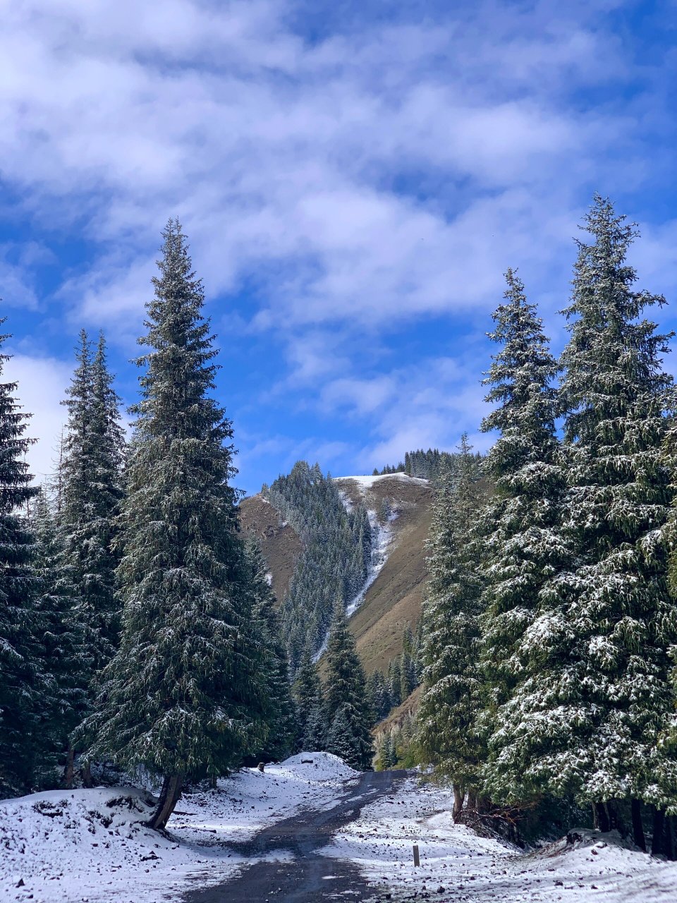 乌鲁木齐雪景高清图片图片