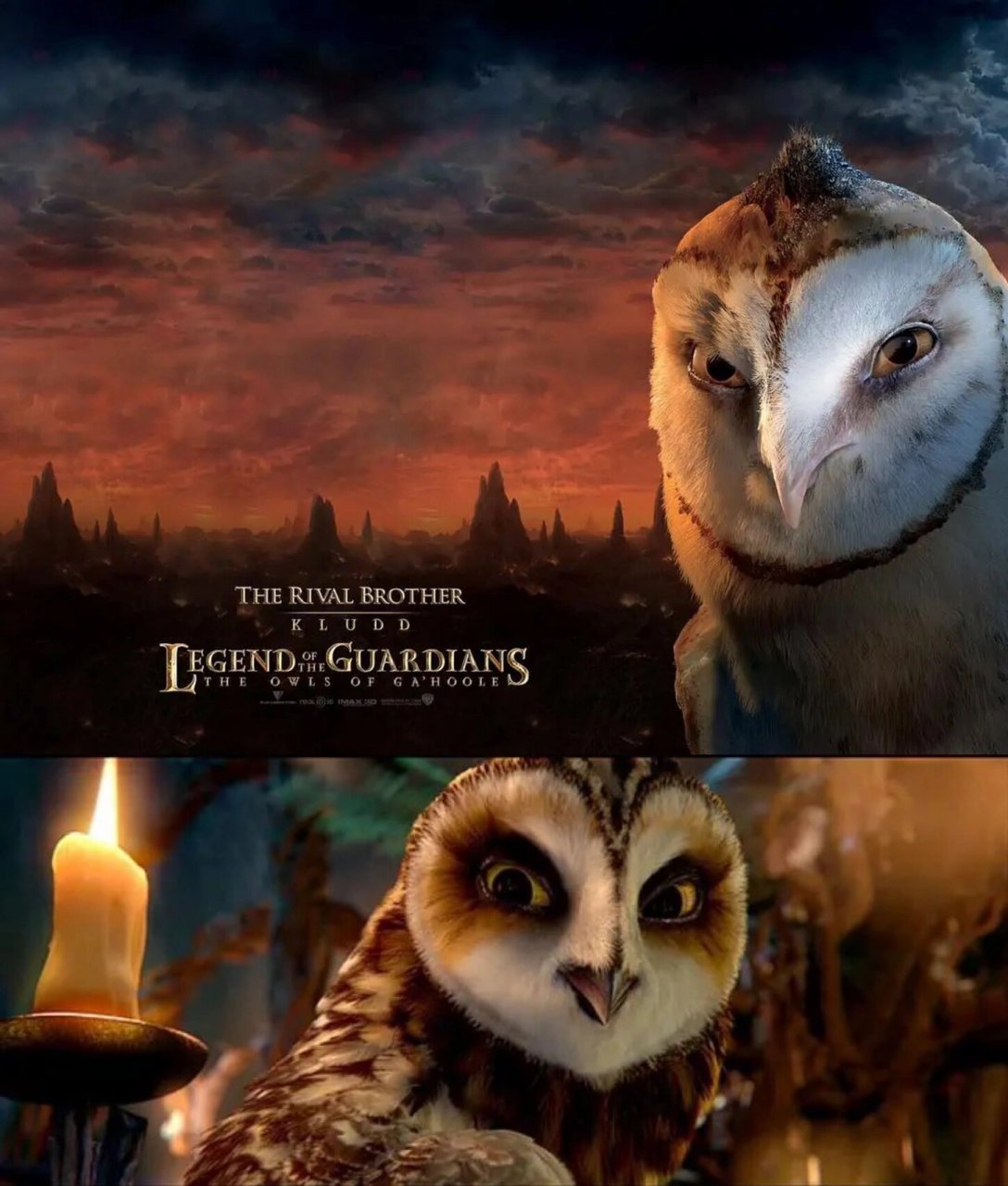 90电影名称:《猫头鹰王国:守卫者传奇》  这部电影讲述了一只年轻的