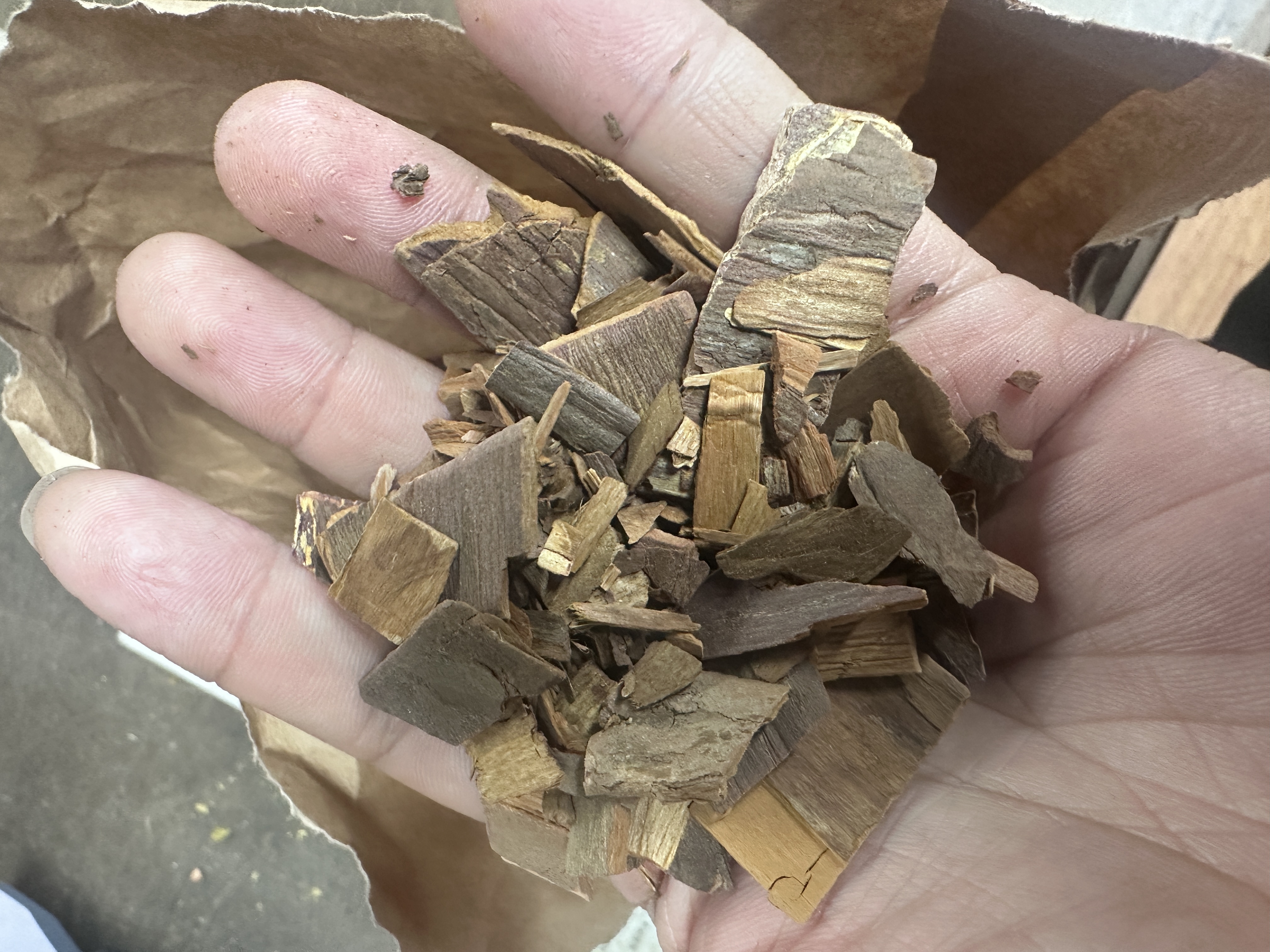 抗癌力量紫杉醇——红豆杉提取物  在中医领域,虽然没有直接对应紫杉