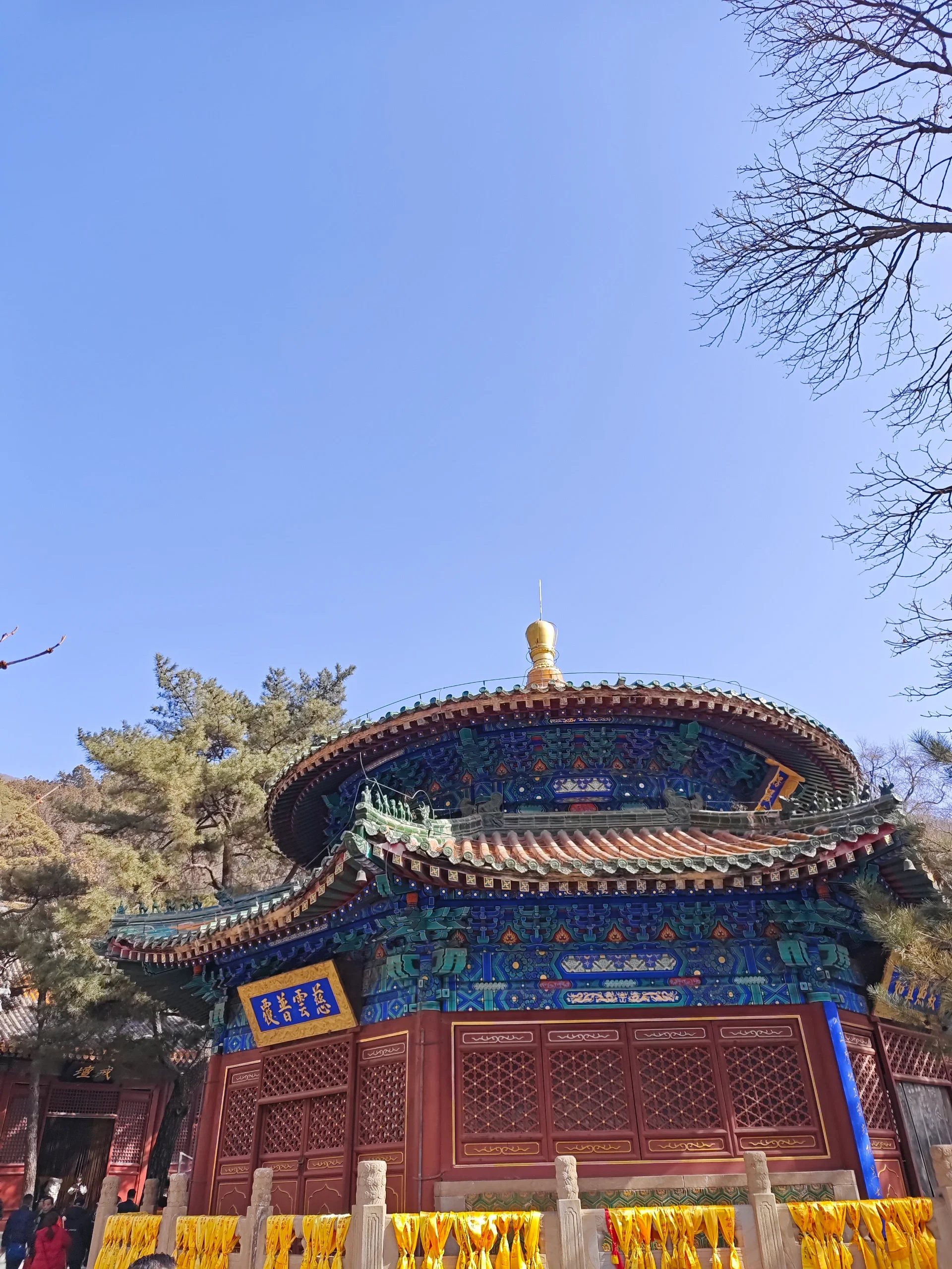 今天一大早就去了潭柘寺,怀着虔诚的心祈求平安