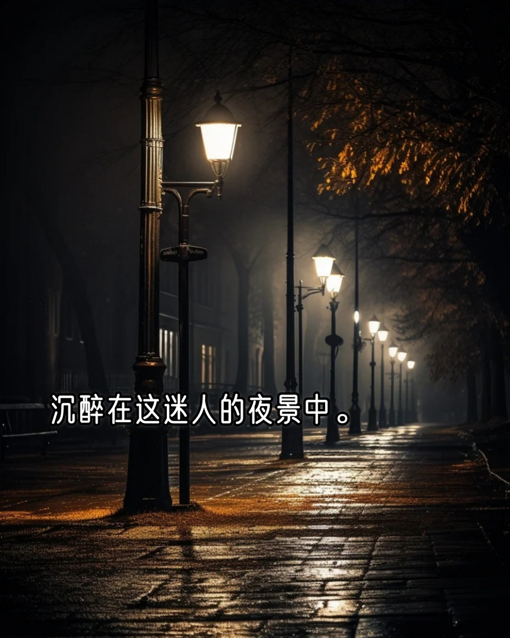 美丽的夜景发朋友圈的短句  1.