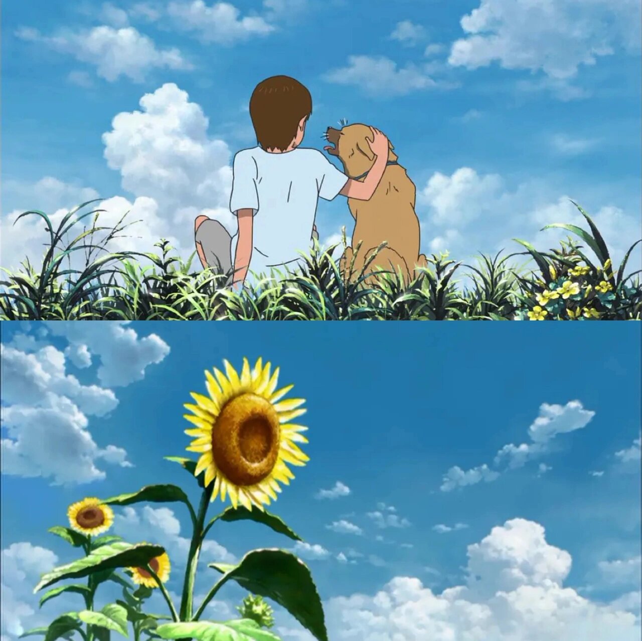 影片名《河童之夏》 	  电影中的小酷,那单纯可爱的模样与复杂难猜的