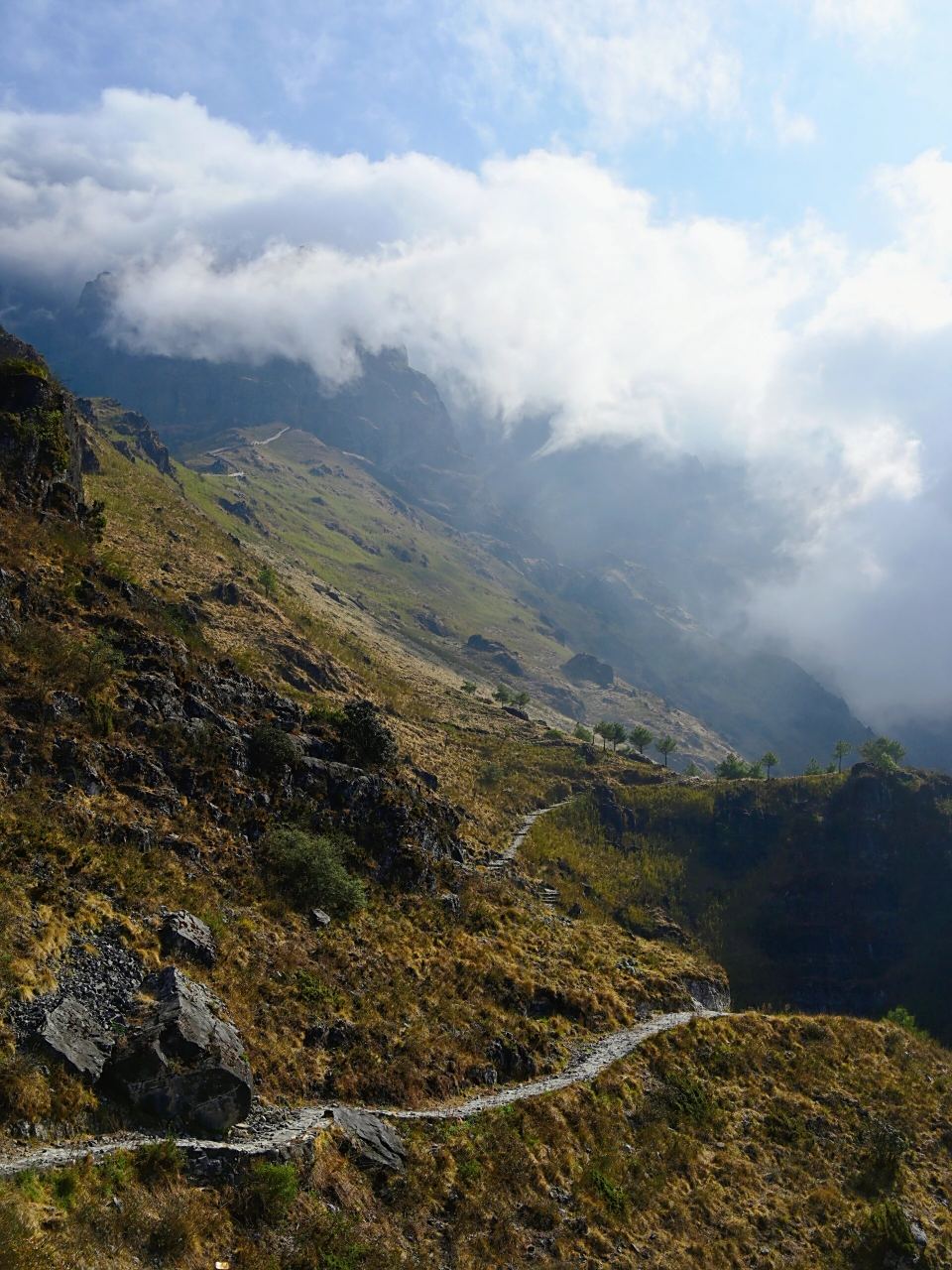 大牯牛山花开正当时丨进阶徒步路线推荐!