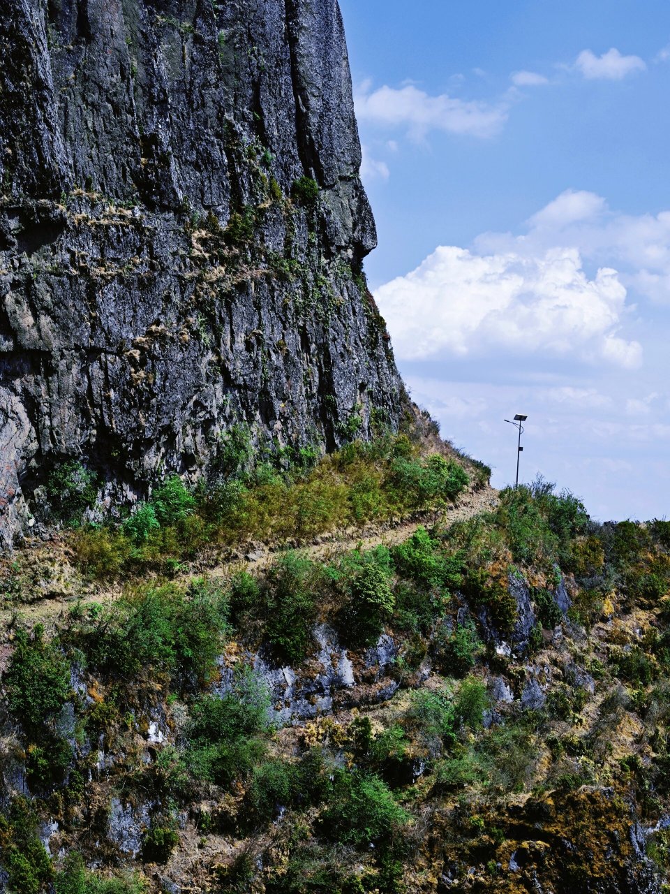 大牯牛山花开正当时丨进阶徒步路线推荐!