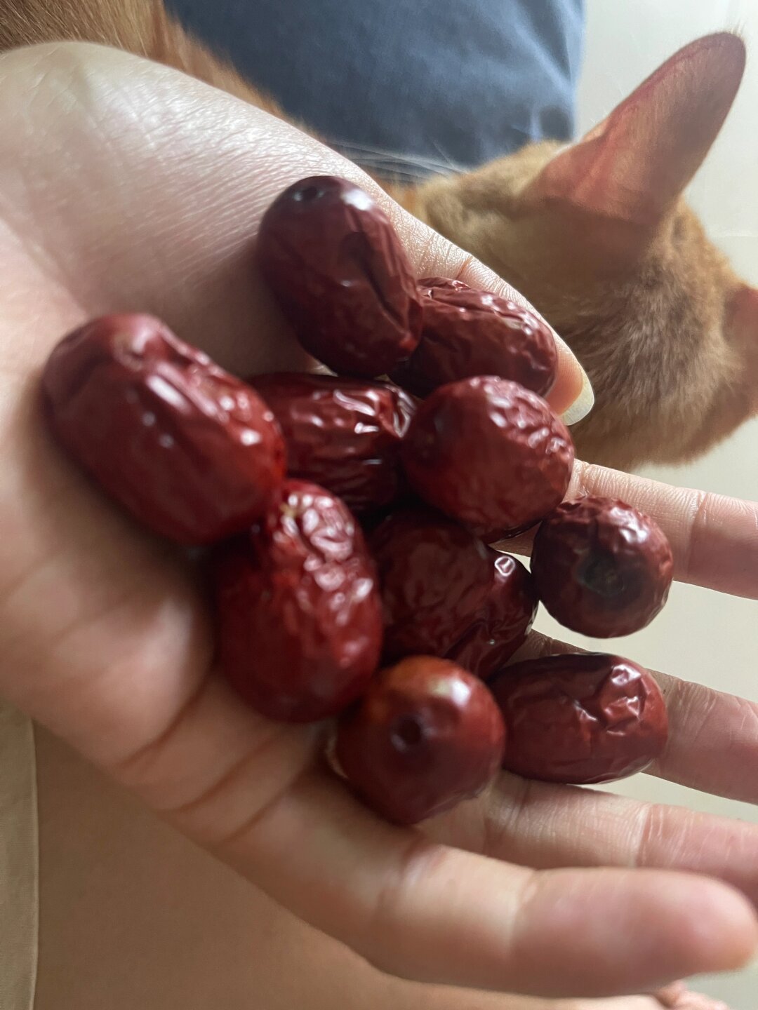 每一颗红枣都蕴含着大自然的精华口感香甜营养丰富让人一吃就爱上