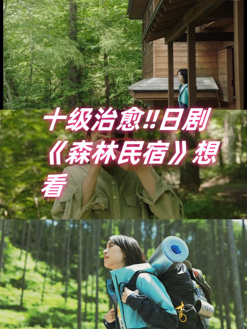 十级治愈6015日剧《森林民宿》想看  90《森林民宿》,一部充满