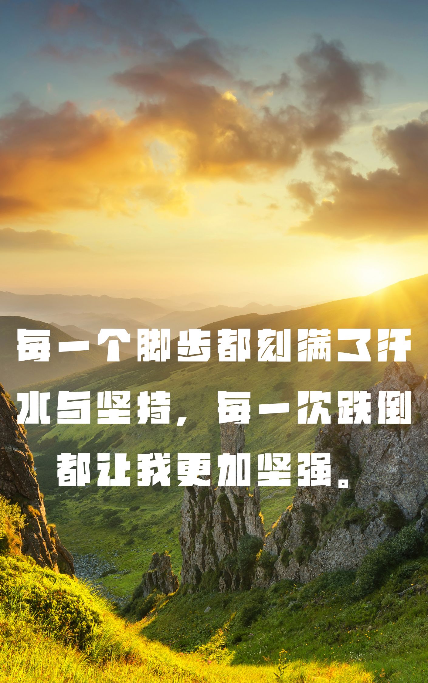 一路走来,我经历了风风雨雨,也收获了成长与智慧