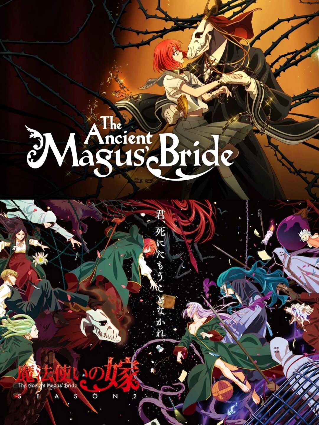 动漫《魔法使的新娘 第二季》 类型爱情/奇幻/魔法