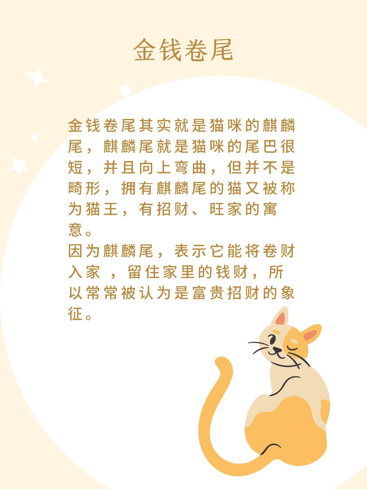 考虑全身黑色黑色且无杂毛的猫咪如玄猫有镇宅辟邪的寓意