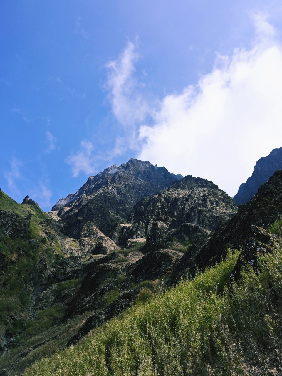 大牯牛山花开正当时丨进阶徒步路线推荐!
