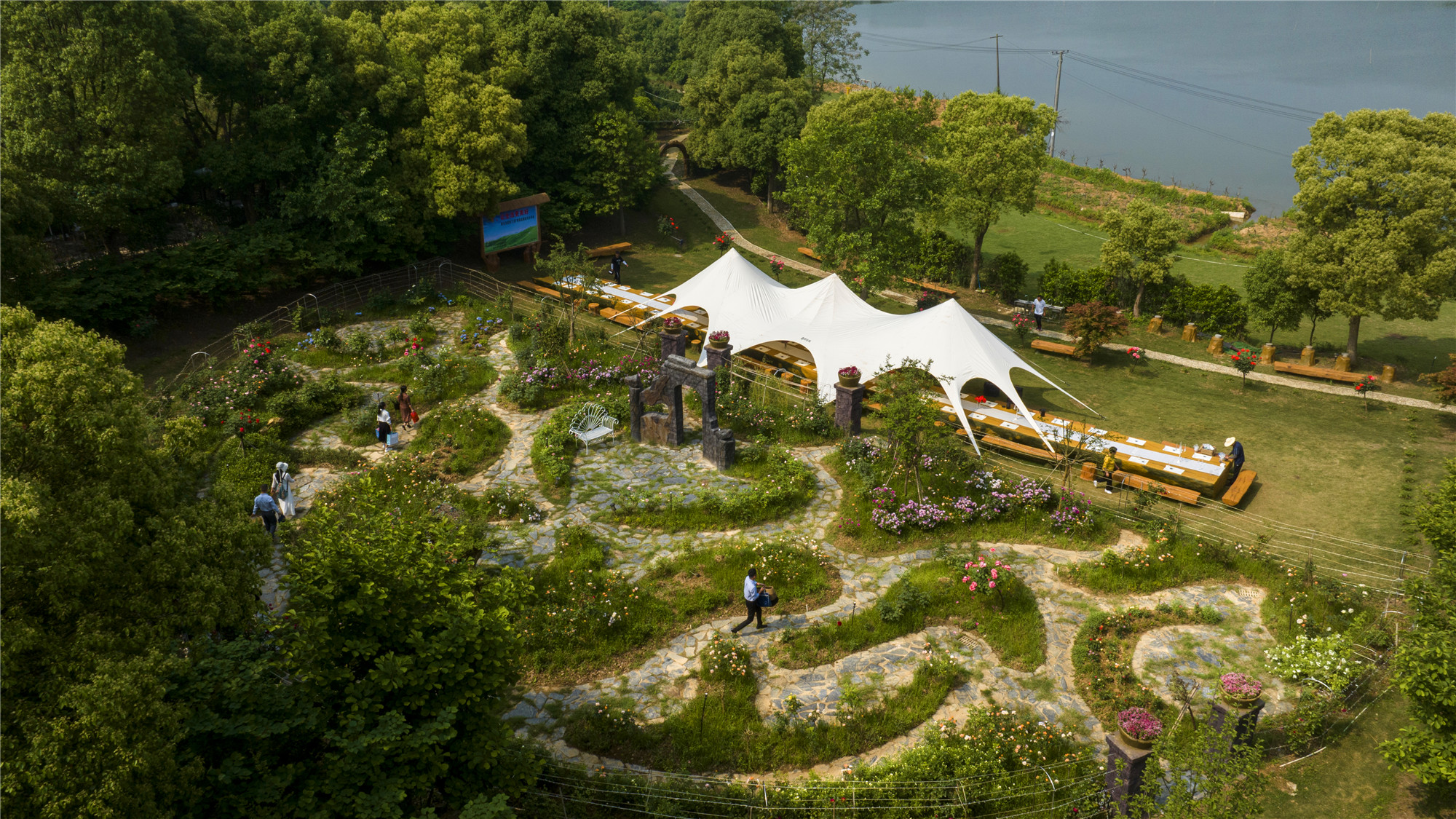 发现网湖之美:天鹅岛的魅力