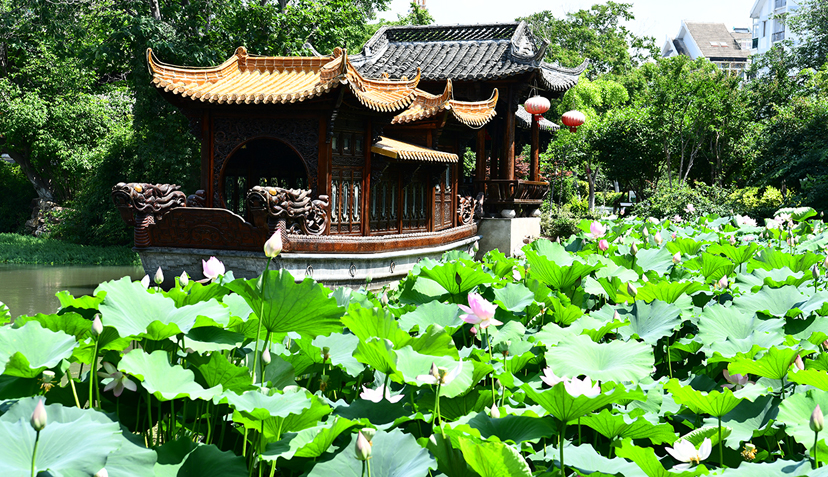 宝应风景图片