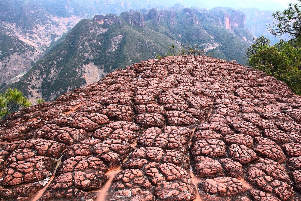 神奇的"千龟山"