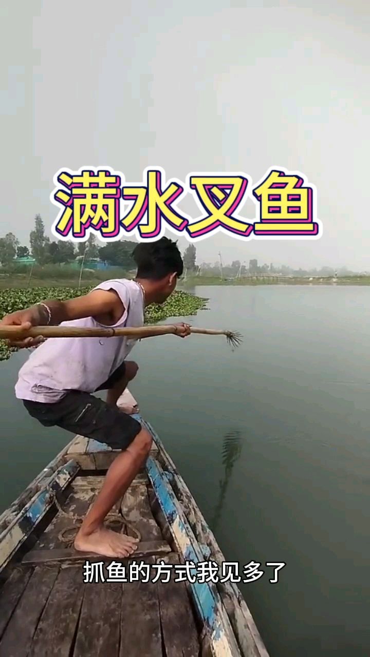 看着老板满水叉鱼的场景着实惊讶到了我呀
