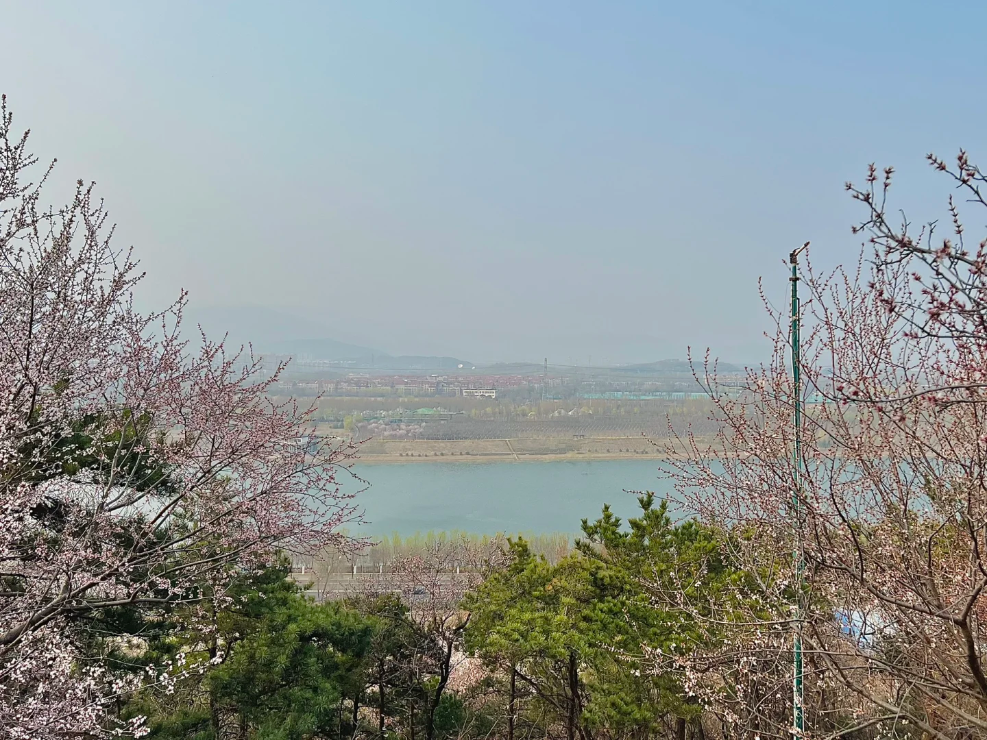 京西遛娃赏花宝藏地,老山城市休闲公园