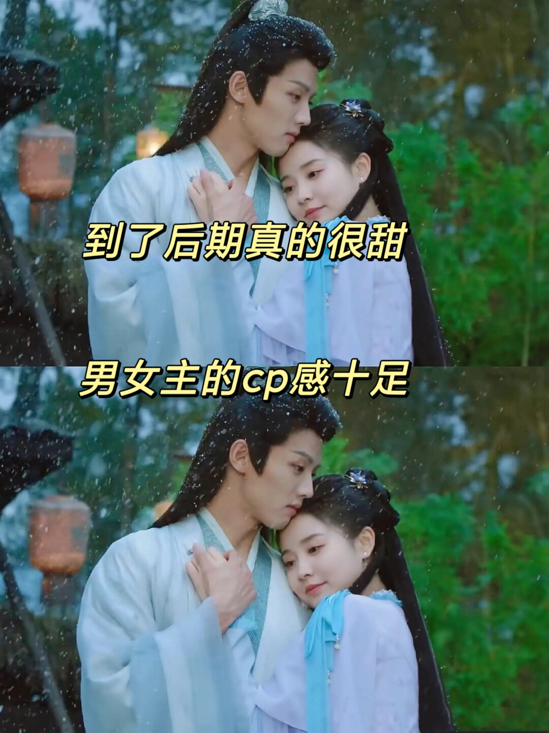 片名《孔雀归来又逢君》
