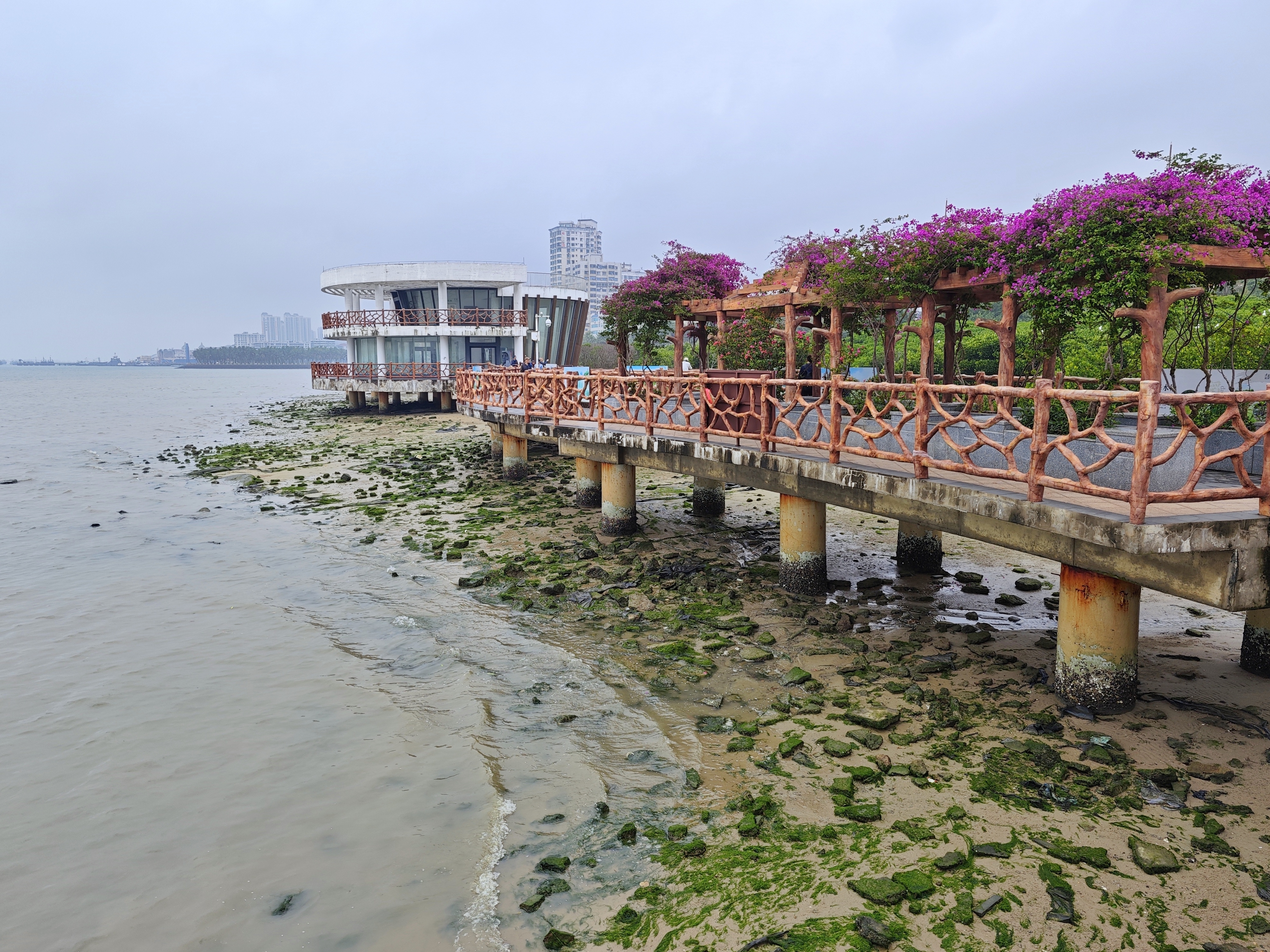 霞山观海长廊,北接渔港公园,南连海滨公园,中间有个红树林栈道,全长3