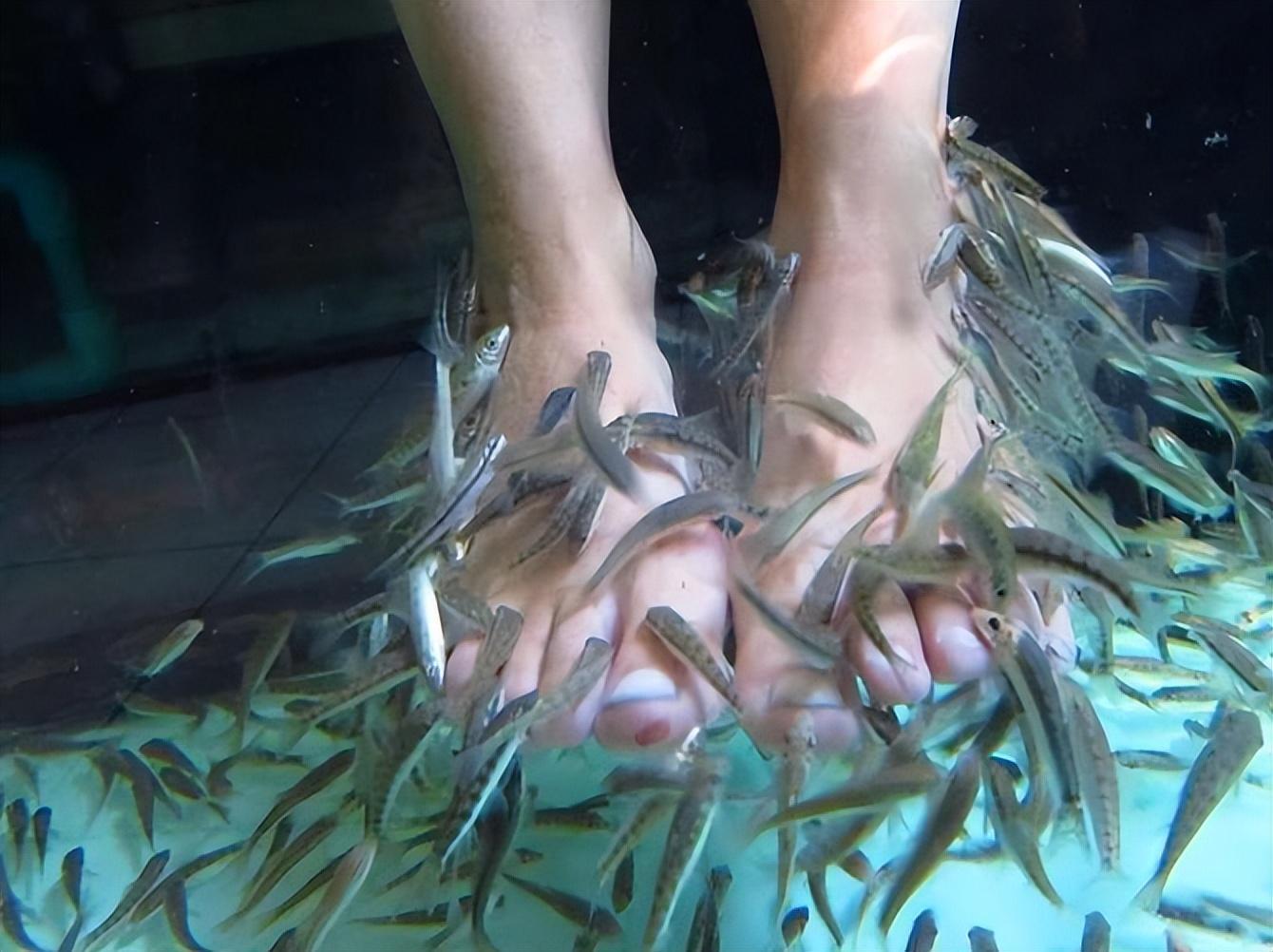 梦之寓言，解读梦见活鱼缠在脚上的深层含义