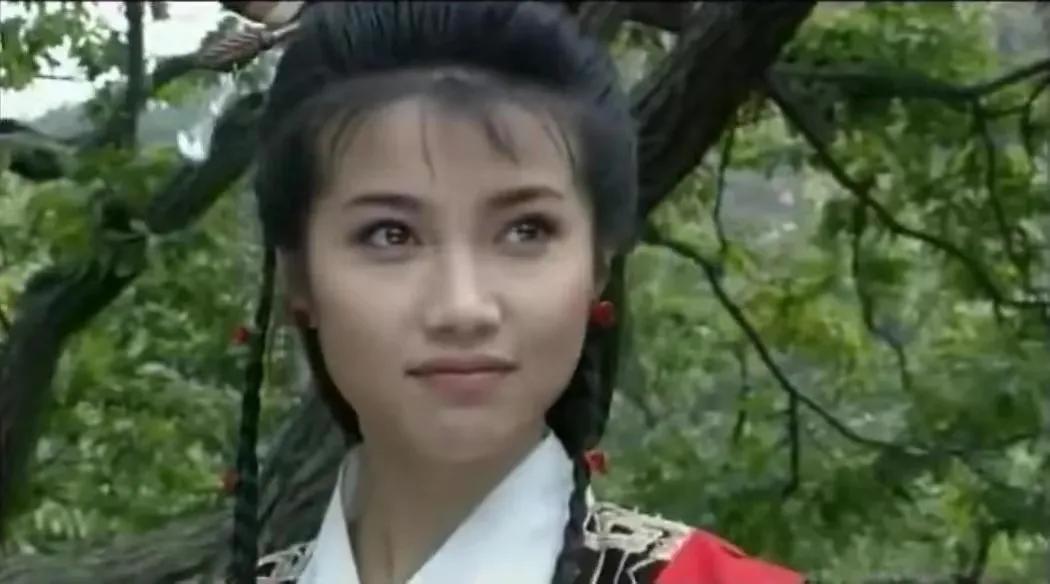 回顾万箭穿心颜丙燕为母亲息影8年与李乃文意难平仍单身