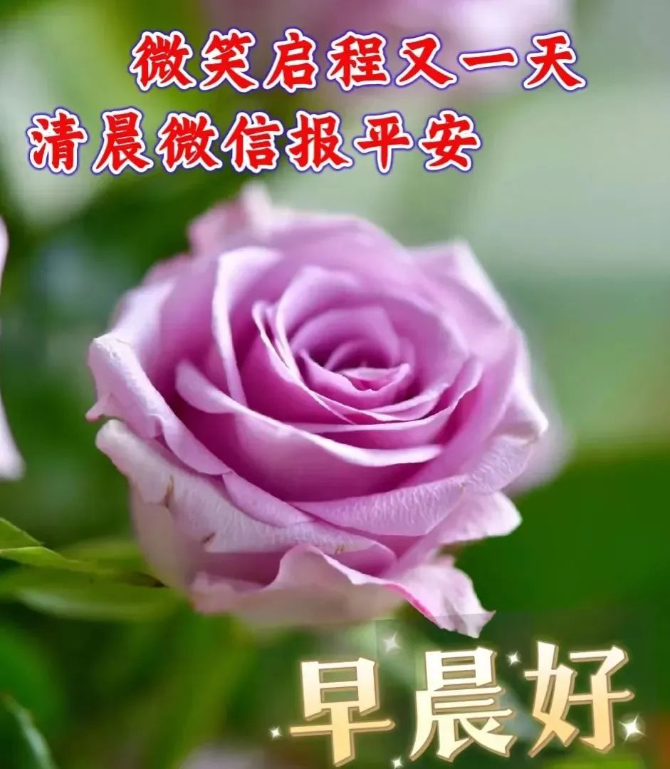 真挚暖心的正能量人生感悟,早安励志简短一句话