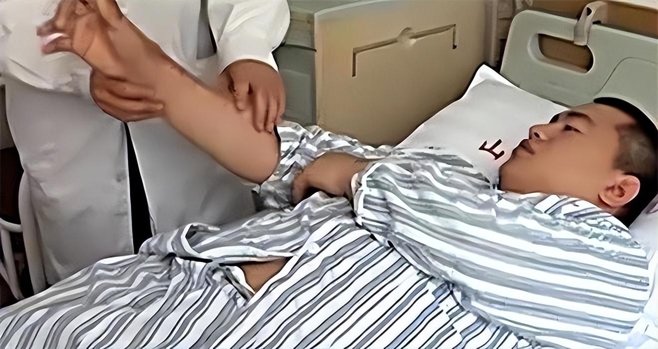 蝇蛆疗法进行时