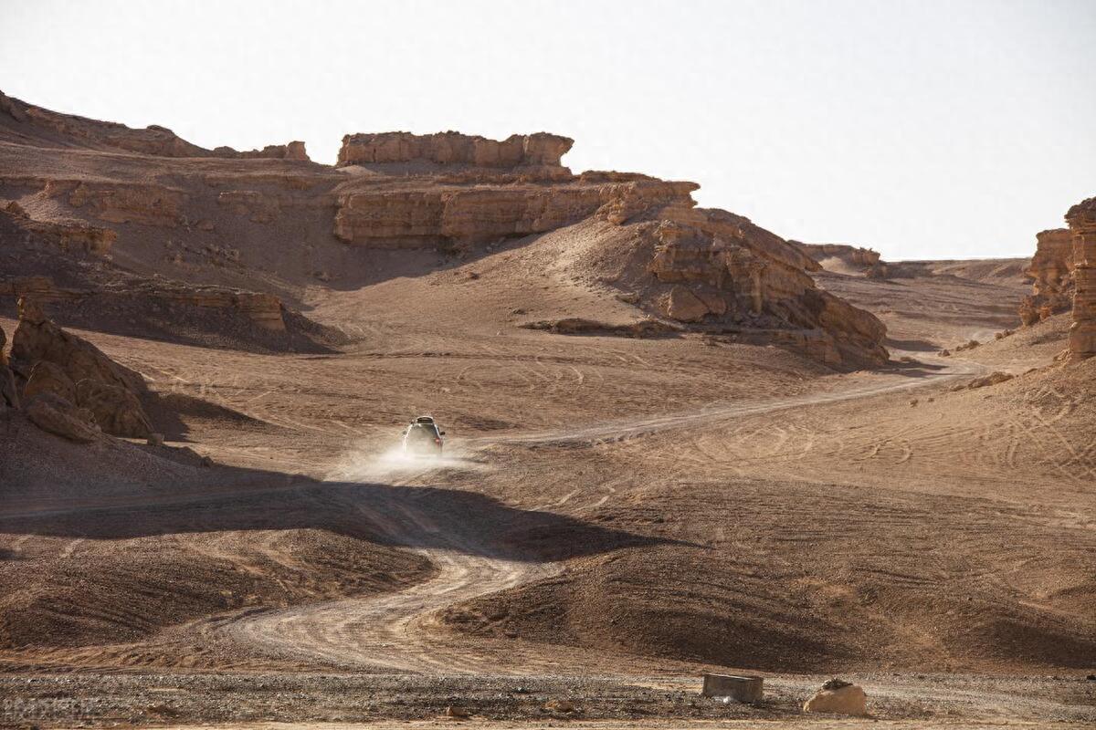 2020年,24岁女博士孤身闯入无人区,被发现时只剩一具残骸