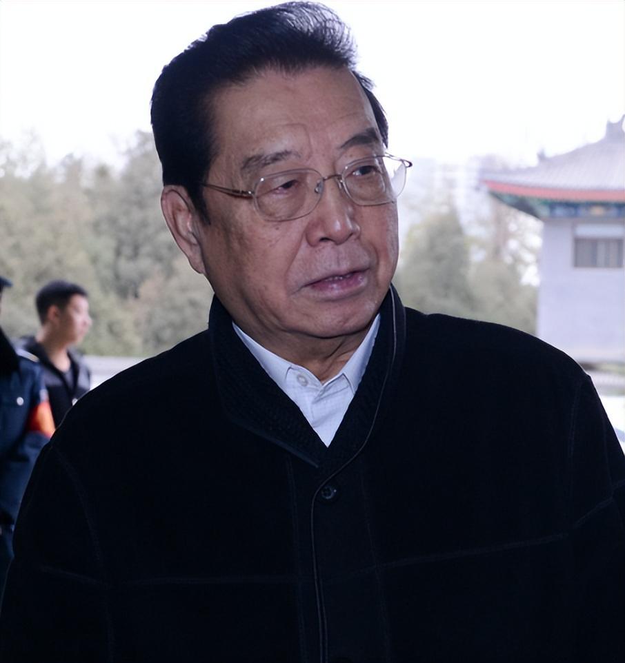 回顾同样是李双江的基因把丁英和梦鸽儿子一对比差距就出来了