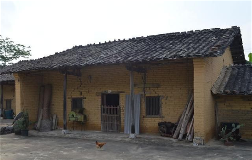 2015年山东女子产下5胞胎,最小的仅有"鸡蛋大",如今怎样