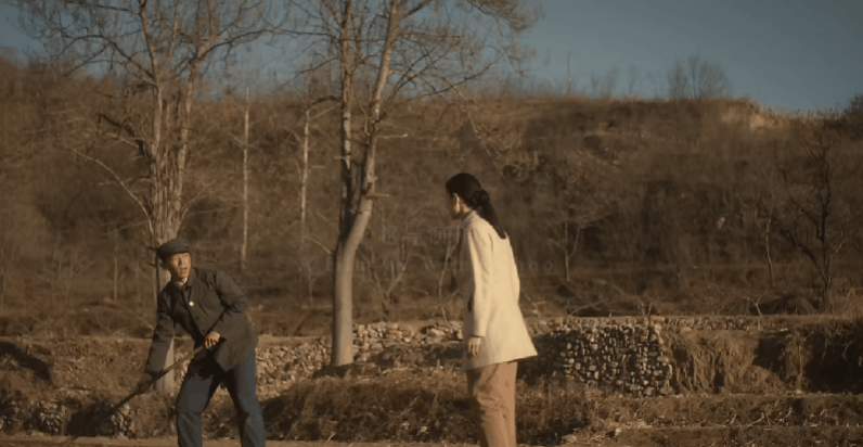 明明是国际电影节最佳剧本国内排片却不足01网友流量至上