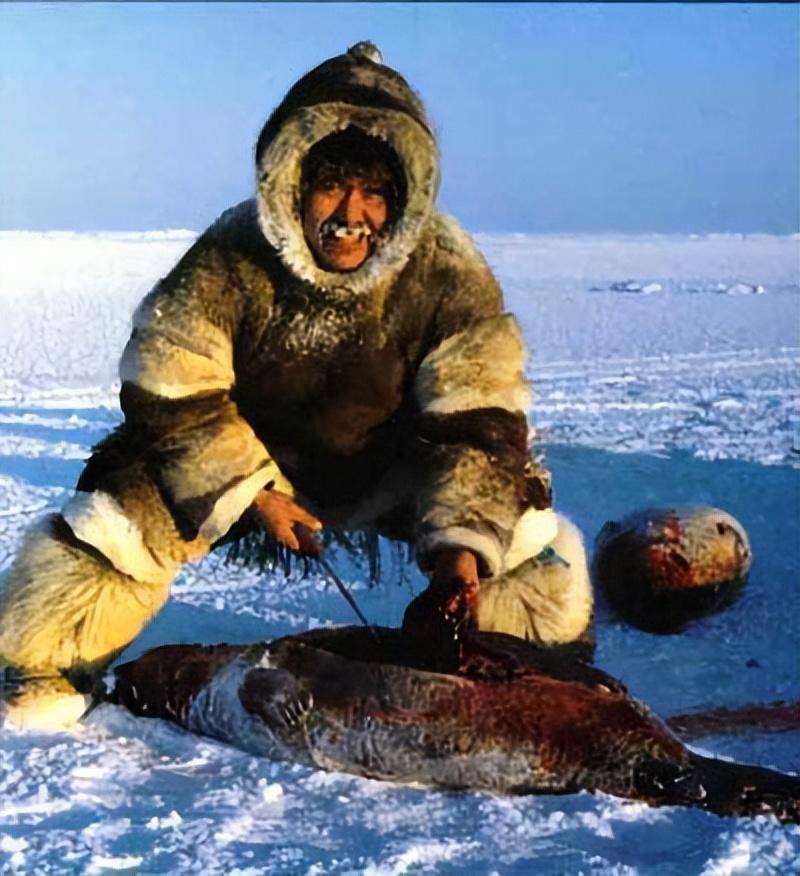 因纽特人,又被称为爱斯基摩人,是北极地区的原住民族,他们与寒冷为伍