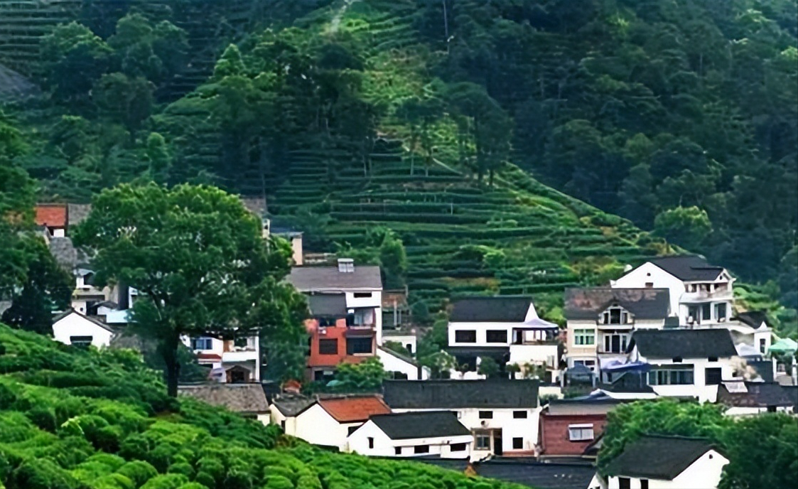 杭州梅家坞游玩攻略简介